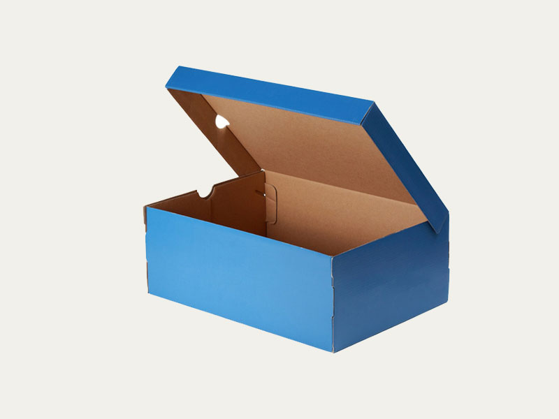 create your own shoe box
